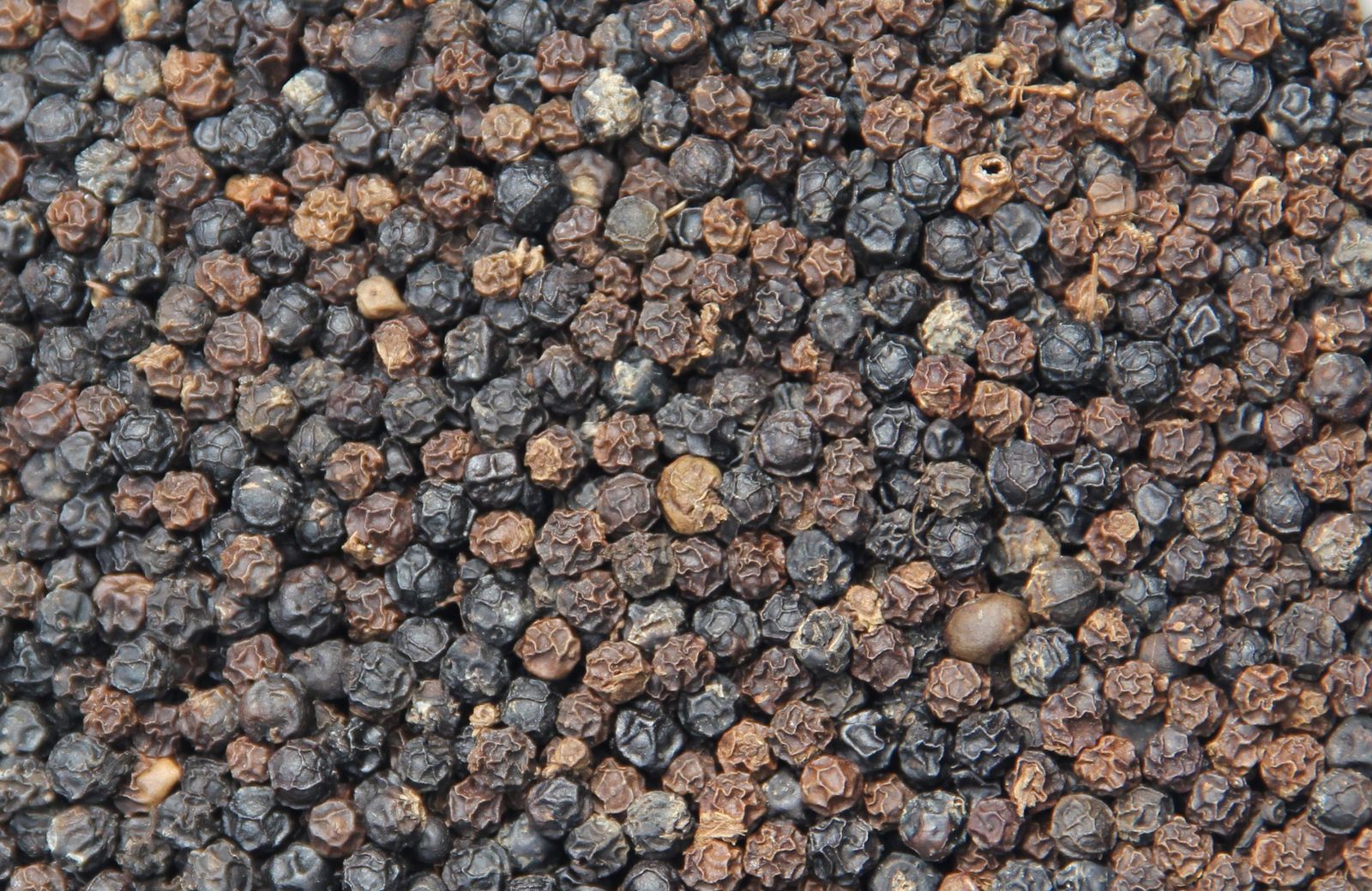 Black Pepper / White Pepper - UMG Best Agro